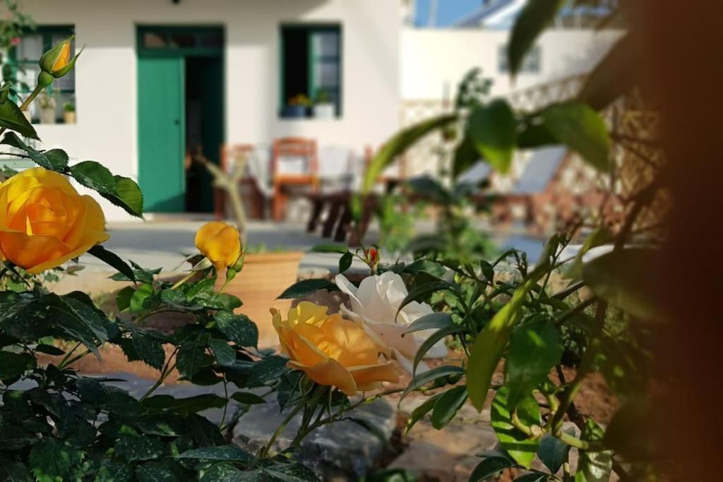 Erofili House Ferienhaus Elounda